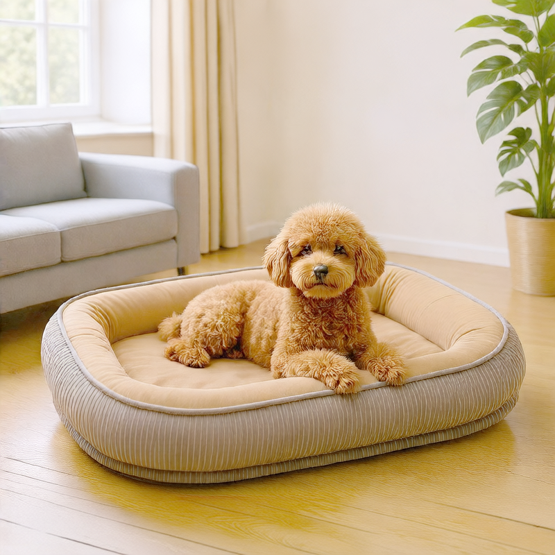 Dog kennels and cat kennels for winter warmth